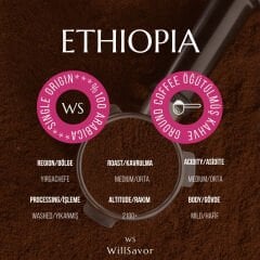 WillSavor Avantaj Paket 3 X Ethiopia Single Origin %100 Arabica (ÖĞÜTÜLMÜŞ KAHVE) 750 gr